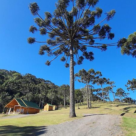 Casa De Campo Quinta Do Vale - Familia Urubici Bagian luar foto