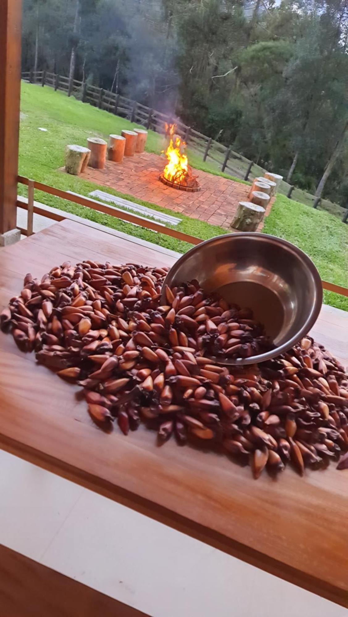 Casa De Campo Quinta Do Vale - Familia Urubici Bagian luar foto
