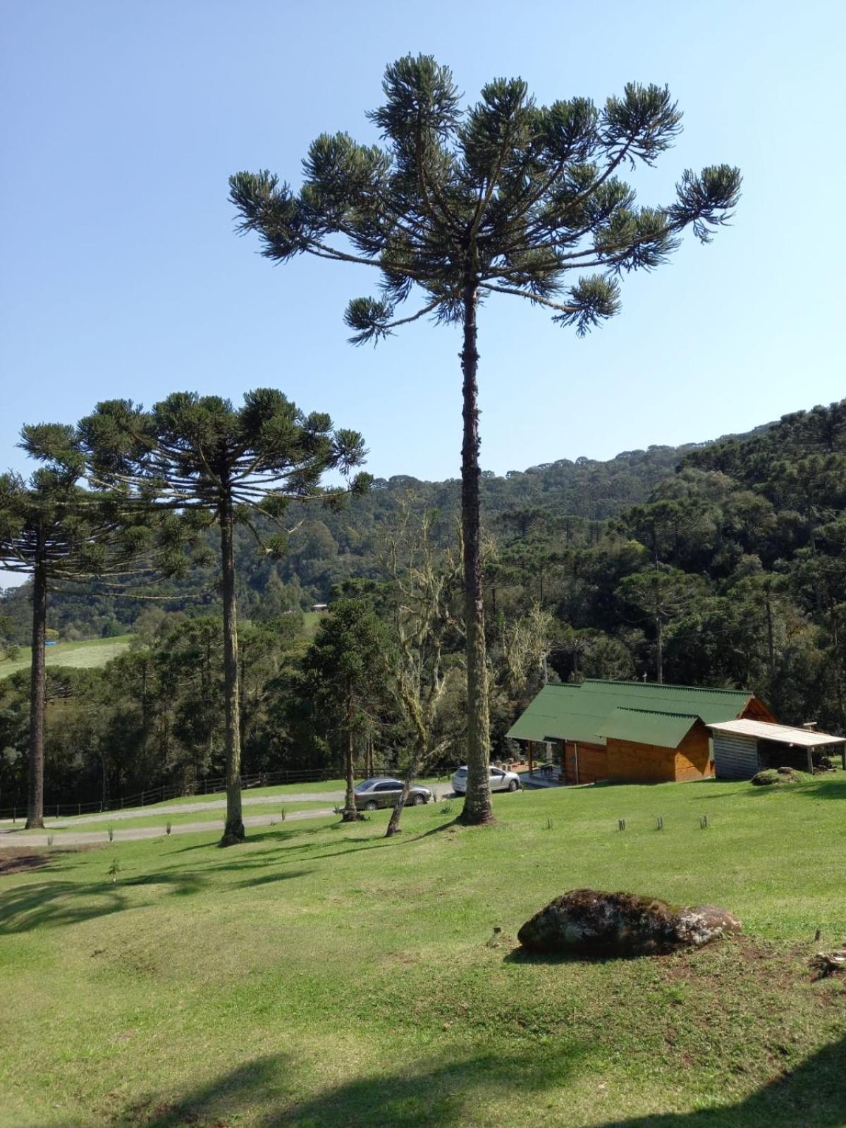 Casa De Campo Quinta Do Vale - Familia Urubici Bagian luar foto