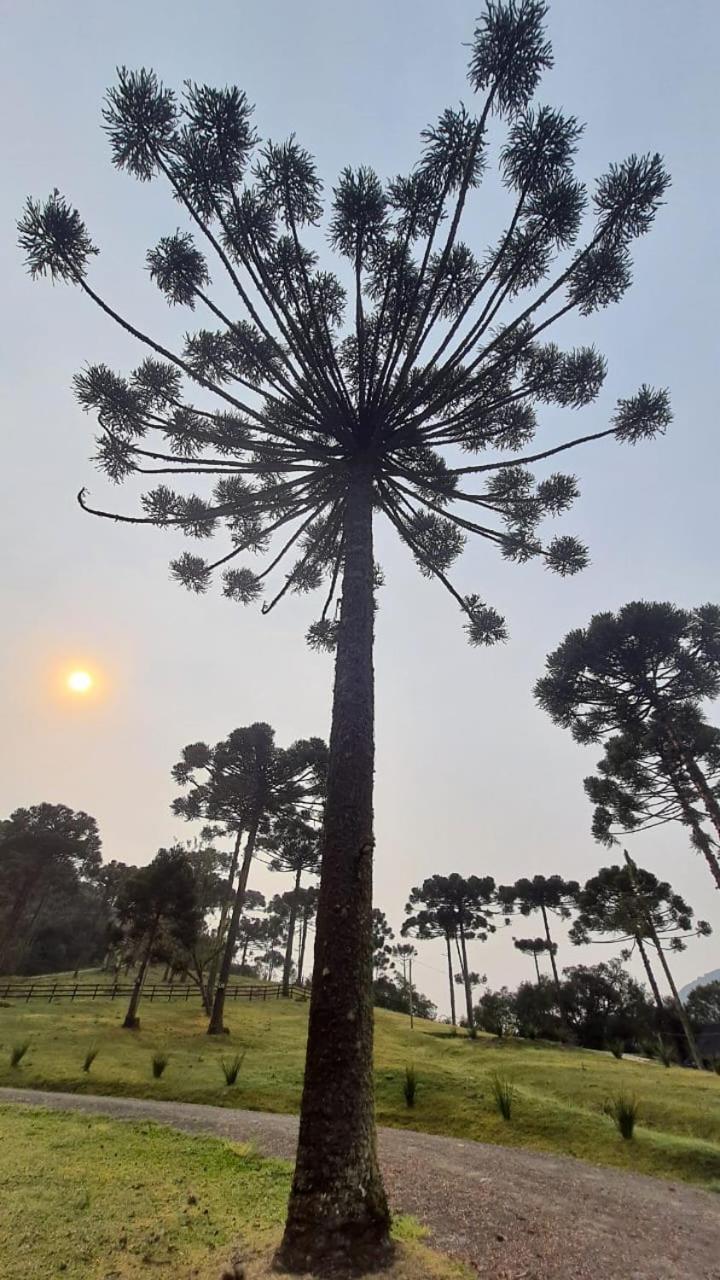 Casa De Campo Quinta Do Vale - Familia Urubici Bagian luar foto